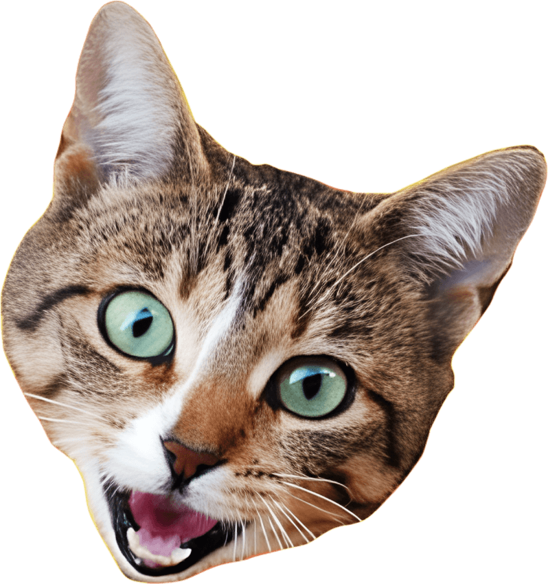 Bad Advice Cat